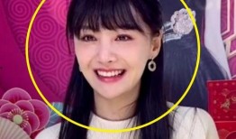 郑爽热巴最新爆料,揭秘娱乐圈背后的惊人真相