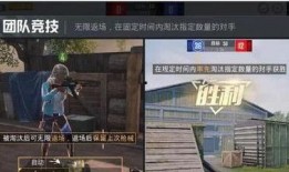 和平精英爆料动画视频,动画视频揭秘神秘内容