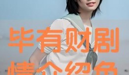 电视剧毕有财在线观看,财富传奇，人生逆袭